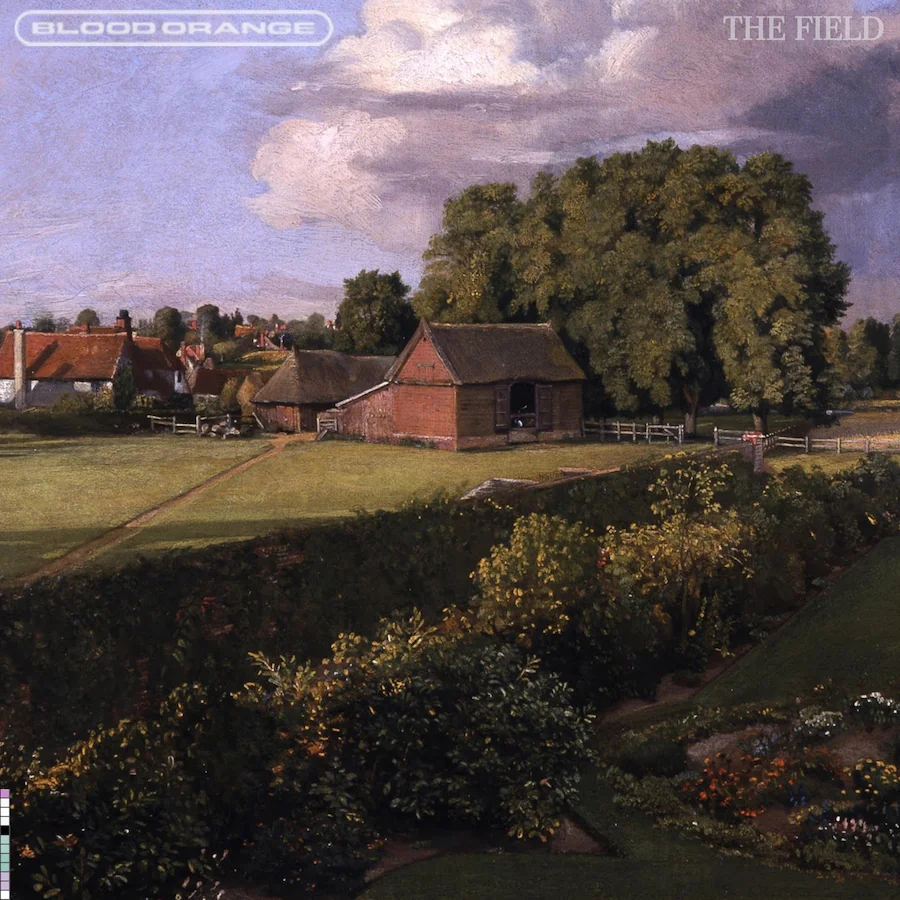 The field